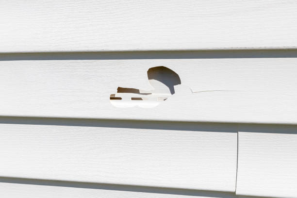 Reliable White Marsh, MD Siding Solutions